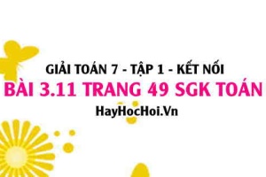 Giải bài 3.11 trang 49 Toán 7 Tập 1 SGK Kết nối tri thức